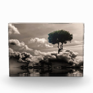 Daydreams Photo Block