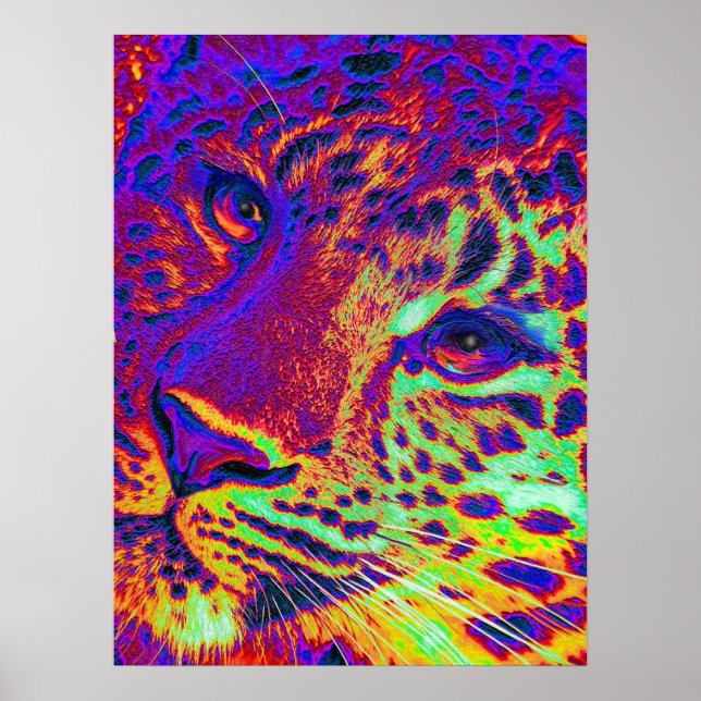 dayglow leopard poster (Front)