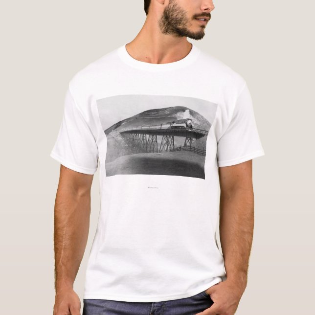 Daylight Limited Railroad over Tressel T-Shirt (Front)