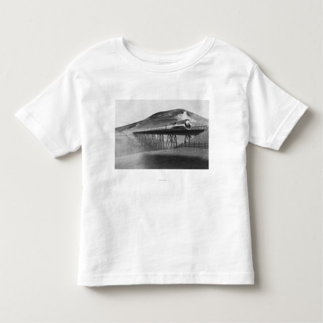 Daylight Limited Railroad over Tressel Toddler T-Shirt (Front)