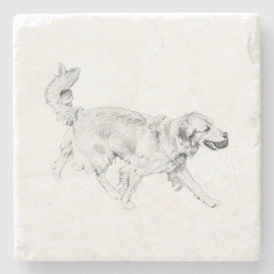 Daylight Trail Mood Stone Coaster