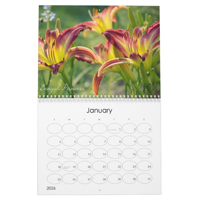 Daylilies 2011 Calendar (Jan 2026)