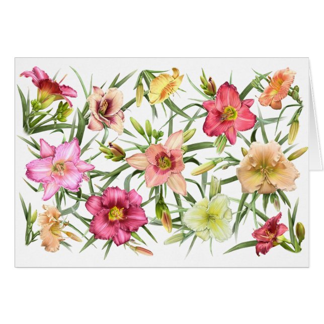 Daylilies All Over (Front Horizontal)