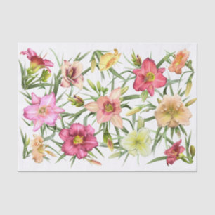 Daylilies All Over Tissue Paper