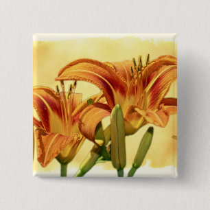 Daylilies - Hemerocallis 15 Cm Square Badge