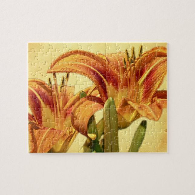 Daylilies - Hemerocallis Jigsaw Puzzle (Horizontal)