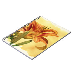 Daylilies - Hemerocallis Notebook