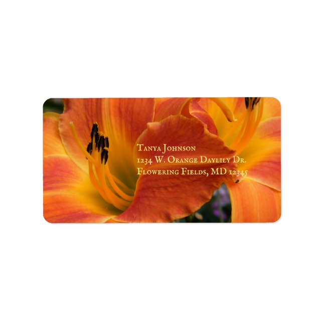 Daylilies / Hemerocallis / Orange Lily / Label (Front)