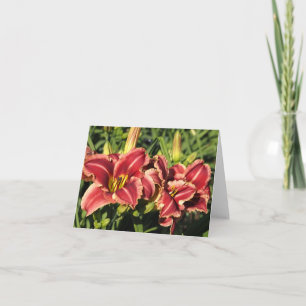 Daylilies Note Card