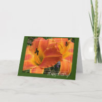 Daylilies / Orange Lily / Happy Birthday