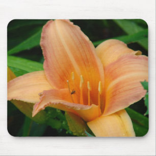 Daylily 2 mouse pad