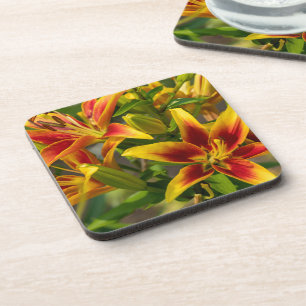 Daylily Botanical Print, Canadian Photography Coaster