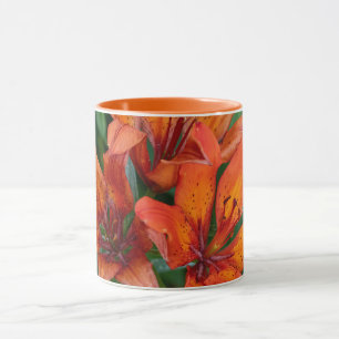 Daylily Botanical Print, Canadian Photography Mug
