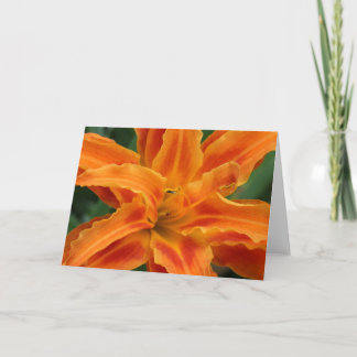 Daylily Card