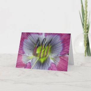 Daylily 'Dixie Blues' Card
