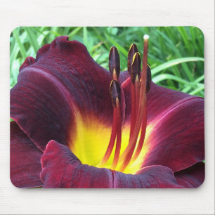 DAYLILY "Dominic" B. Dark Wine. Mouse Pad