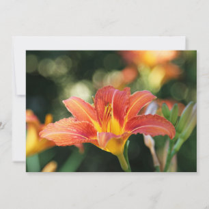 Daylily Flower Flat Thank You Card