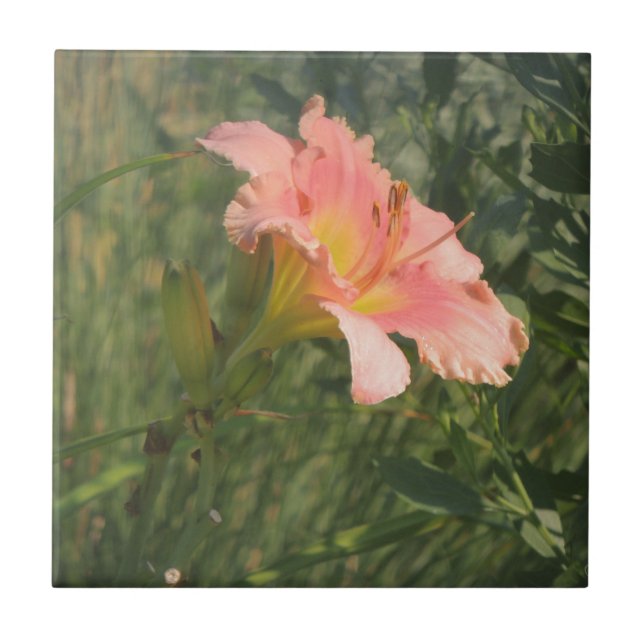 Daylily in the Sun Ceramic Tile (Front)