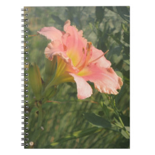 Daylily in the Sun Notebook