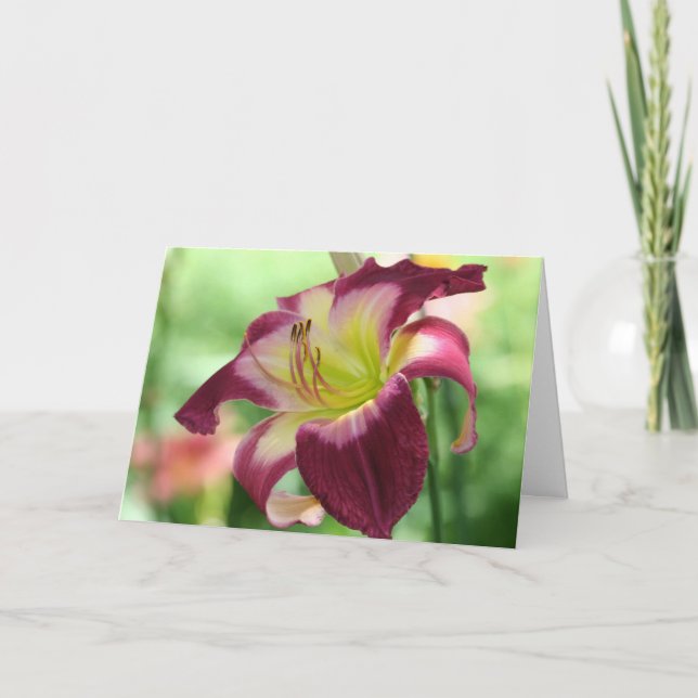 Daylily 'Integrated Logistics' Card (Front)