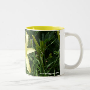Daylily mug