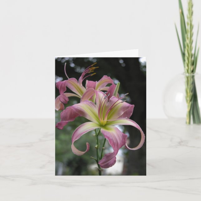 Daylily Note Card (Front)