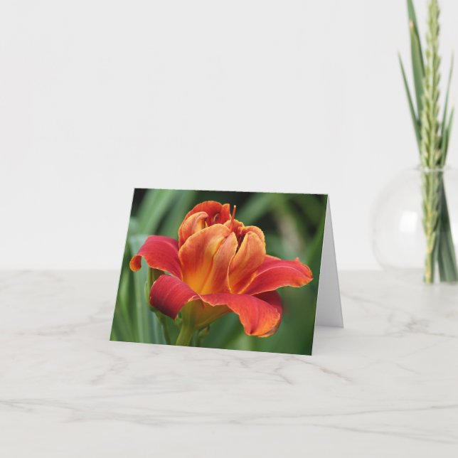 Daylily Note Card (Front)