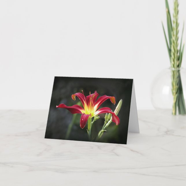 Daylily Note Card (Front)