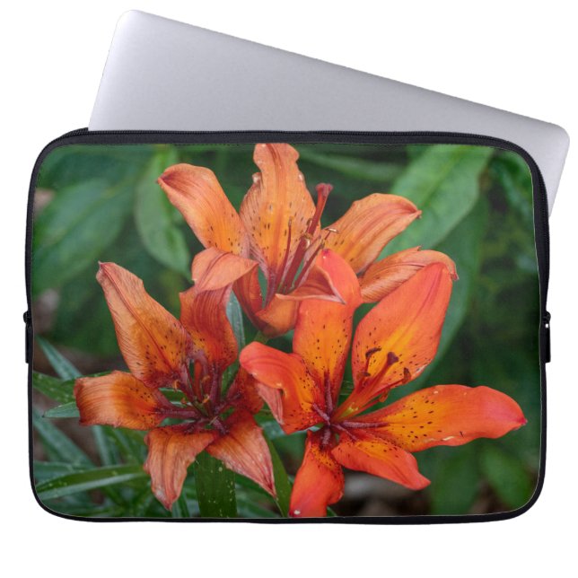 Daylily Orange Canadian Flower Photography Laptop Sleeve (Front)