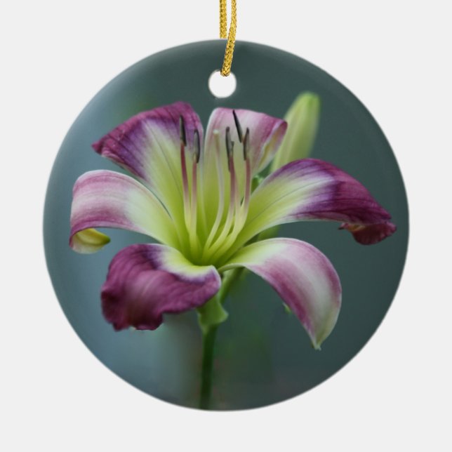 Daylily Ornament (Front)