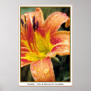 Daylily Poster