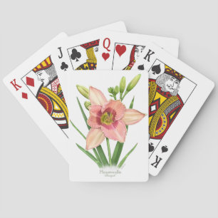 Daylily - Svengali Playing Cards