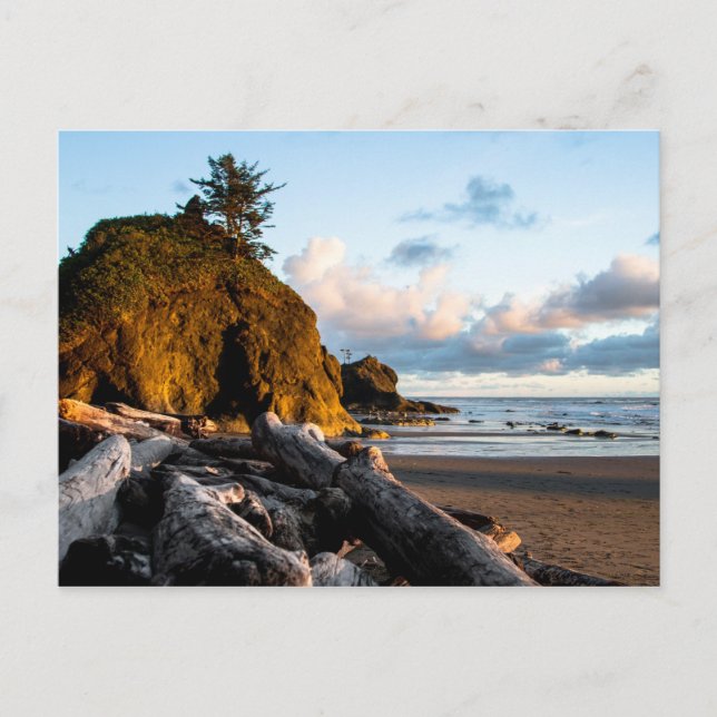 Day's End at Second Beach Postcard (Front)