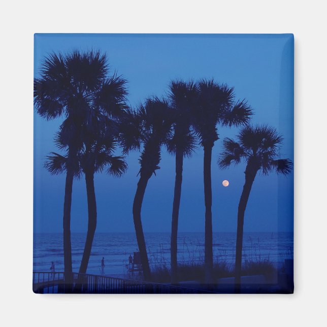 Daytona Beach FL Tropical Palm Tree Moon Magnets (Front)