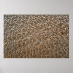 Daytona beach poster