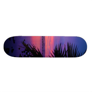 Daytona River Tropical Palm Tree Sunset Skateboard