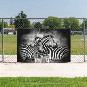 Dazzle of Zebra Banner