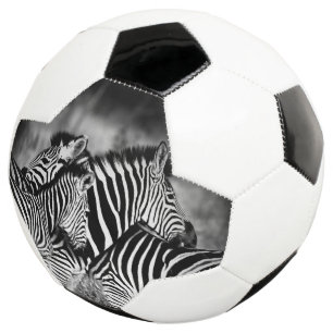 Dazzle of Zebra Soccer Ball