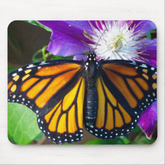 Dazzling Butterfly Mouse Pad