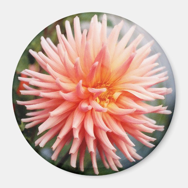 Dazzling Dahlia Flower Magnet (Front)