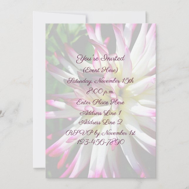 Dazzling Dahlia Flower Party  Invitation (Front)