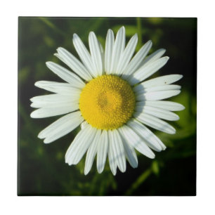 Dazzling Daisy Ceramic Tile