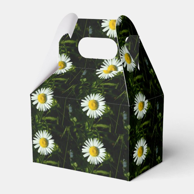 Dazzling Daisy Party Favour Box (Front Side)