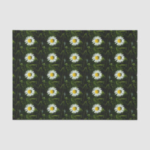Dazzling Daisy Tissue Paper
