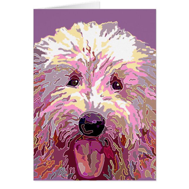 Dazzling Doodle (Front)