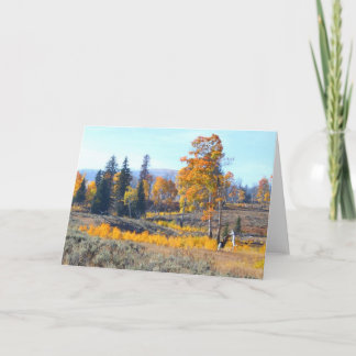 Dazzling Fall Colours Card
