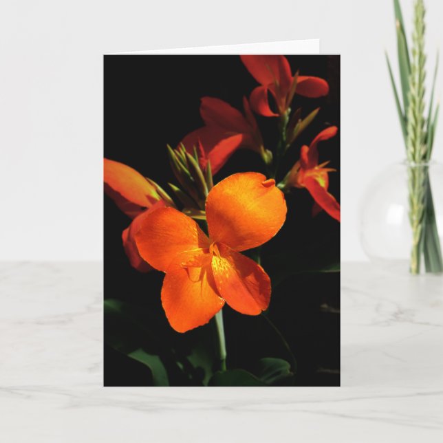 Dazzling Orchid Greeting Card (Front)