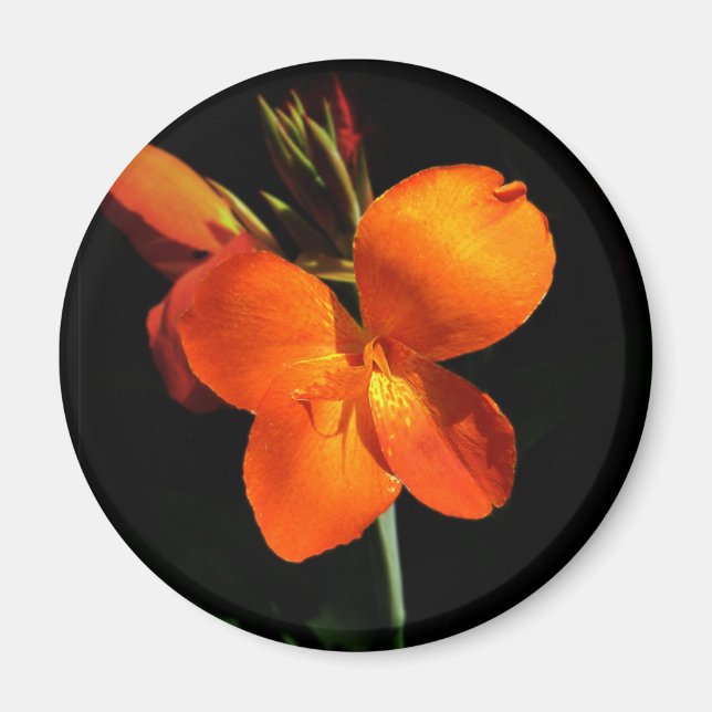 Dazzling Orchid Magnet (Front)