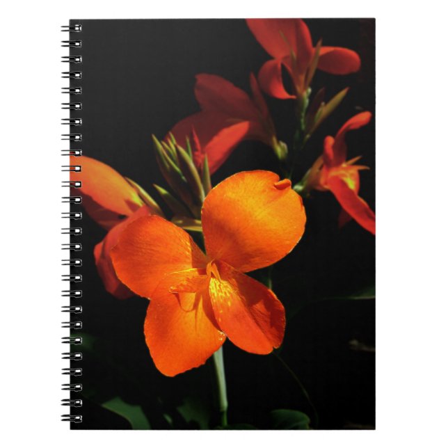 Dazzling Orchid Notebook (Front)