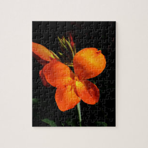 Dazzling Orchid Puzzle